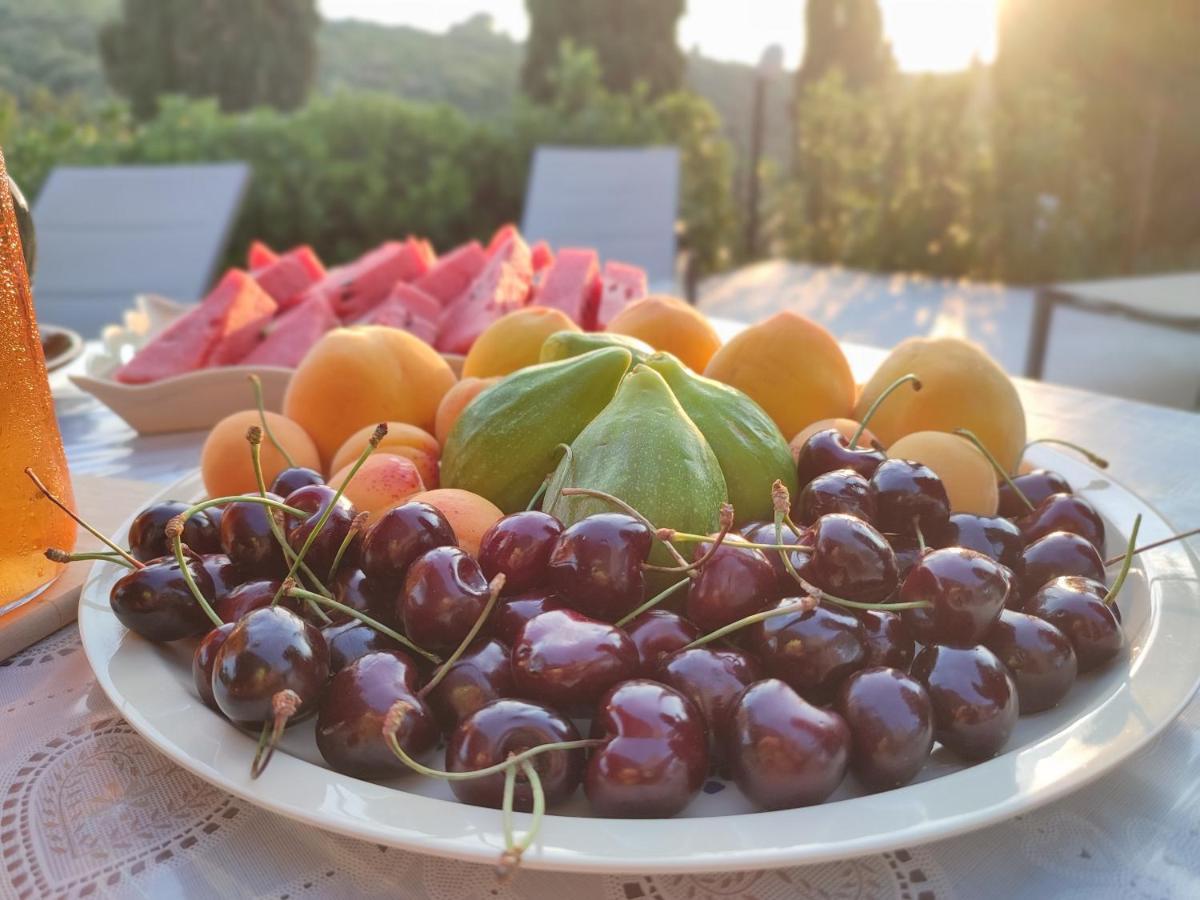 Villa Dei Colori Monopoli Εξωτερικό φωτογραφία